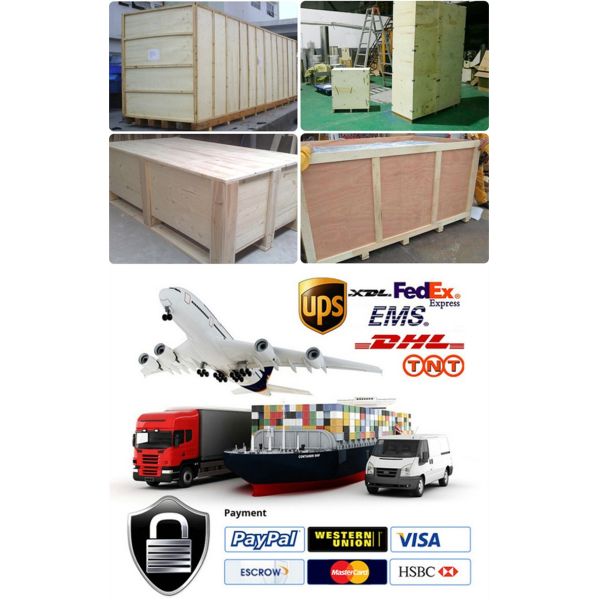 Подгонянная нержавеющая сталь 304 316 обработка напитка производственной линии 10ton яблочного сока промышленная