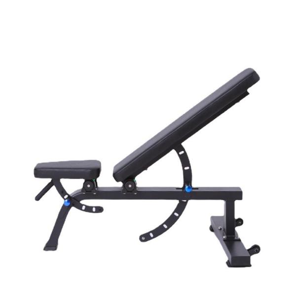Freeman Commercial Gym Fitness Equipment Adjustable Modern Steel Sit-Up Bench Foldable Bodybuilding Bench