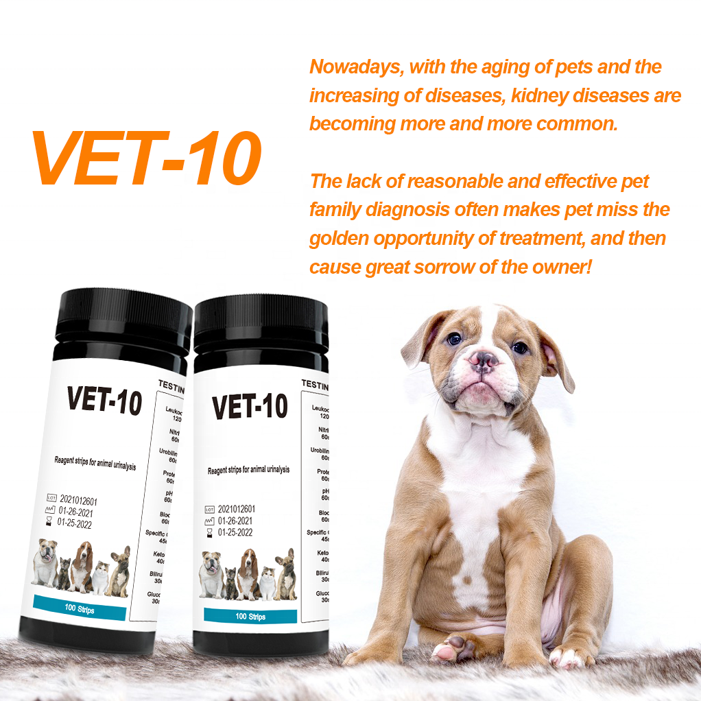 Urinalysis Wellness Test Kit Veterinarian , Leukocytes Vet 10 Urine Test Strips