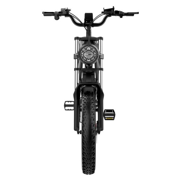 1000W Fast Charging 20 Inch Electric Bike With Removable Battery 7 Speed