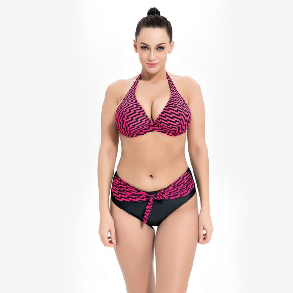 2019 New Plus Size Two piece Swimsuit Strip Print Swimsuit Women Push up 1957