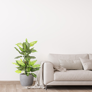 Artificial Green Dieffenbachia Plant 2 Pack - Faux Indoor Plant Spray - EverGreen Greenery For Home Or Office Decor