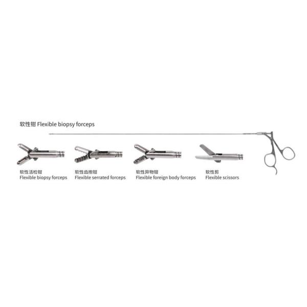 Endoscopy Hospital Surgical Instruments Urology Cystocope Flexible Forceps