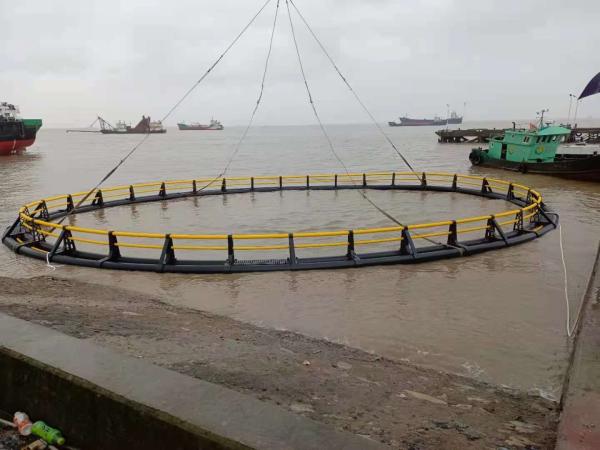 Customized Shrimp Cages Professional Customization of Aquaculture Cages with Farming Machinery