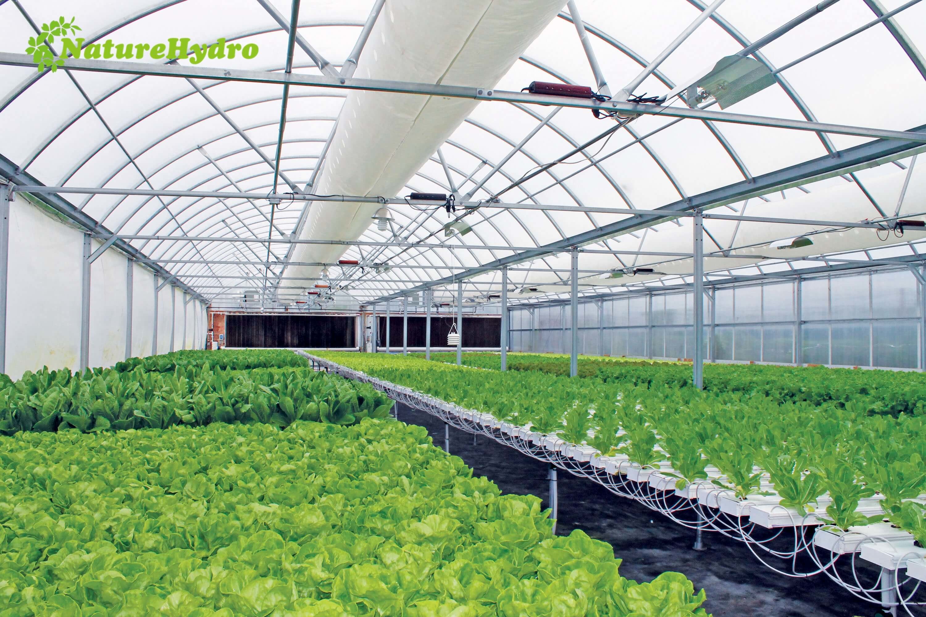 Hydroponic Nft Grow System