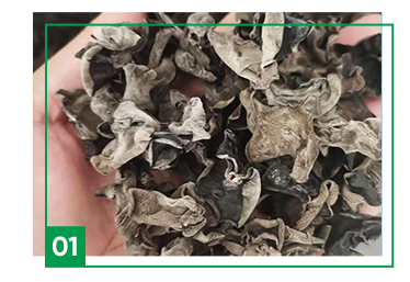 Wholesale Chinese High Quality Organic Fungus Low Price Mushroom Crispy and Fragrant Dried Black Fungus