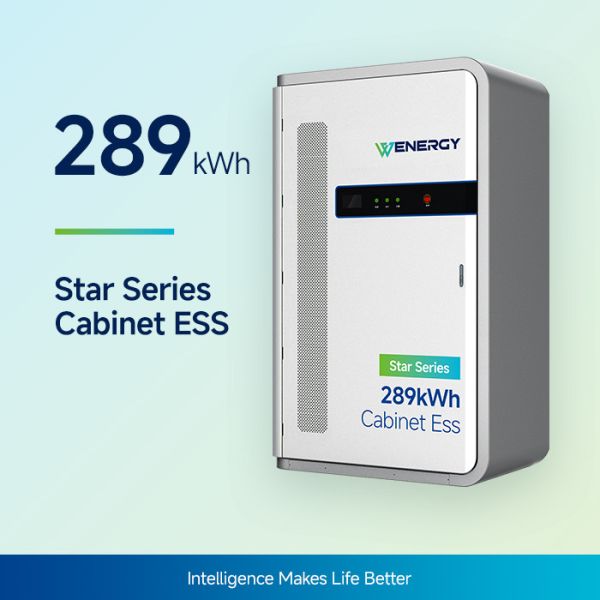 125kW/289kWh Commercial Battery Energy Storage Cabinet (Modular Design)