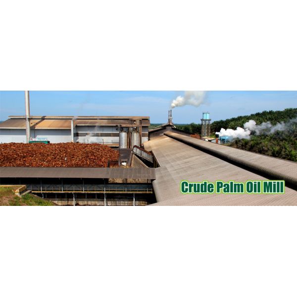 10-100TPD Palm Oil Refinery Cooking Oil Refinery Equipment List Edible Palm Oil Refinery Project Cost Depend on Capacity