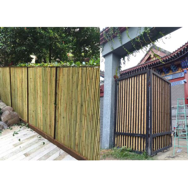 Home Rolled Bamboo Screen Fencing Backyard Garden Decorative Bamboo Paneling
