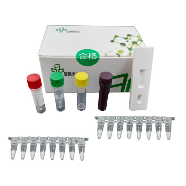 Diagnosis Respiratory Adenovirus Isothermal Pathogen Testing Kits