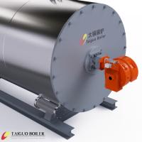 Custom Industrial-Grade Thermal Hot Oil Boilers Horizontal High Efficiency