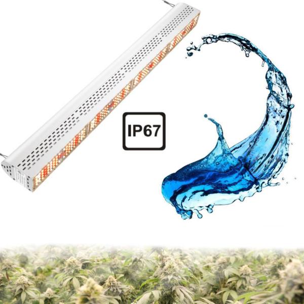 No Shading 300 Watt Led Grow Light , IP67 Waterproof Outdoor Grow Lights