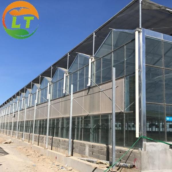 Stable Structure Glass Greenhouse for Growing Vegetables Tomato Skeleton Greenhouse