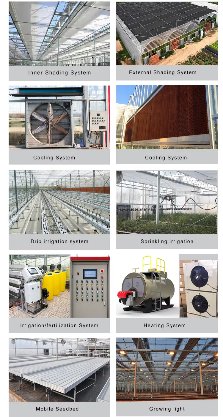Сверхмощный стеклянный Hydroponic парник питомника для овощей