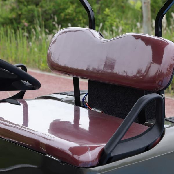 Carrinho de golfe Sightseeing 10 lugares EV UTV com 80-120 km de autonomia