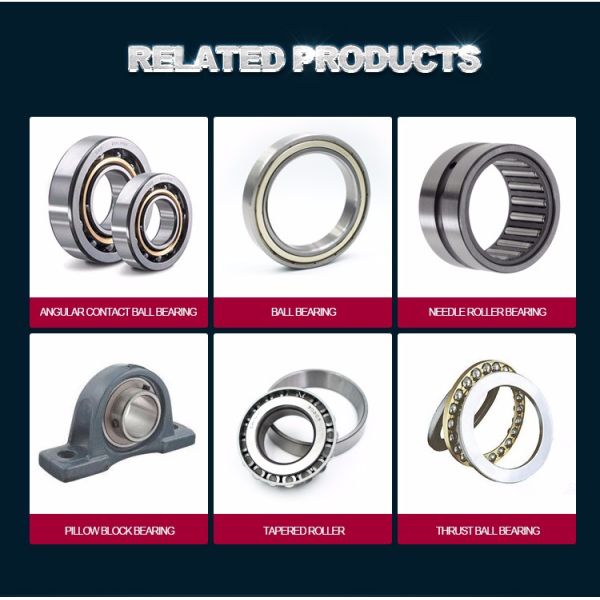 Double Seal P6 P5 6202-2RS Deep Groove Ball Bearing 22000rpm Stainless Steel 15x35x11 mm