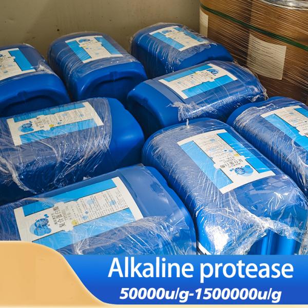 Détergent pour protéase enzyme personnalisé 2,5 L de protéase alcaline soluble dans l'eau