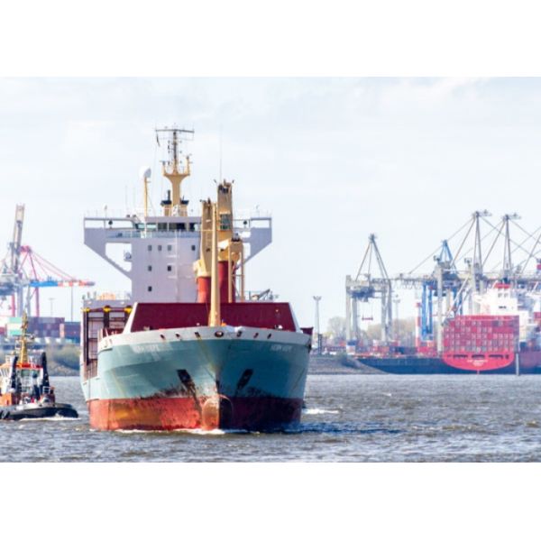 NVOCC Cargo International Forwarders From China To UK Italy Portugal