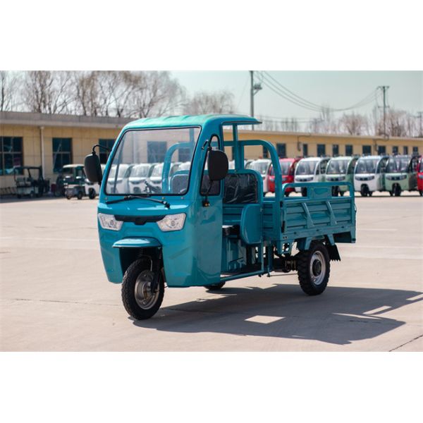 B01 1000W Электрический трехколесный грузовик электрический грузовик 1 человек