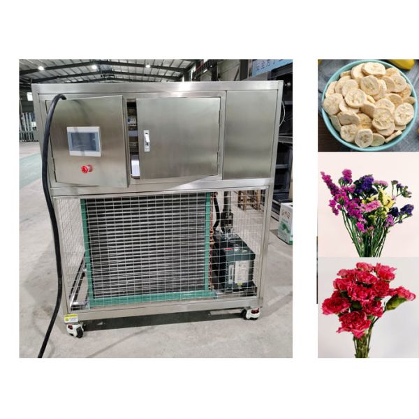 Automatic Operation Mode Vegetable Freeze Dryer Featuring 304 Stainless Steel Trays and PLC Control System for Vegetable Drying