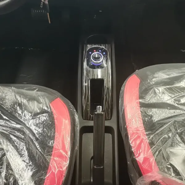 China raysince factory hot sales model cars electric sedan 4 Seats 5 door new energy mini electric car for adults