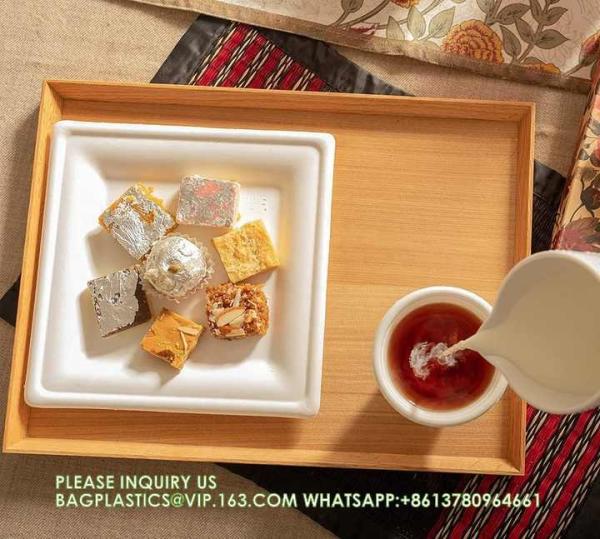 Eco-Friendly Wholesale Bio Disposable Sugarcane Food Container Snack Cookie Fruit Rectangular Plates