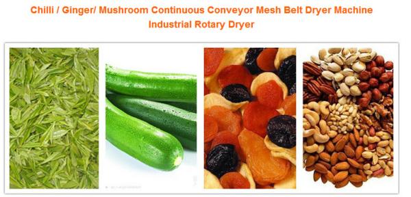 Chilli / Ginger Food Drying Machine High Output 150kg / H 5400 * 1300 * 2000mm