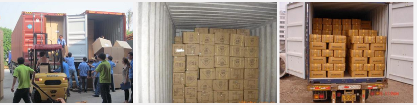 Auto Transmission Oil Filter 11427640862 11 42 7 640 862 HU816ZKIT for BMW X1 X4 Z4