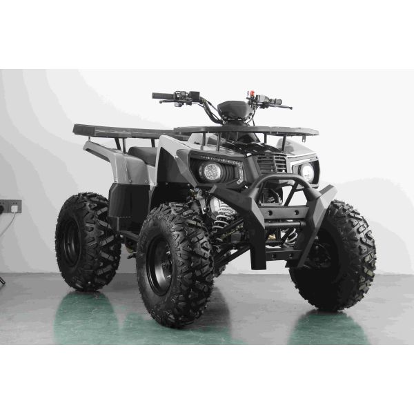 10inch Steel 4 Wheeler Gas ATV with Digital Speedometer Display and Max Speed 75km/h