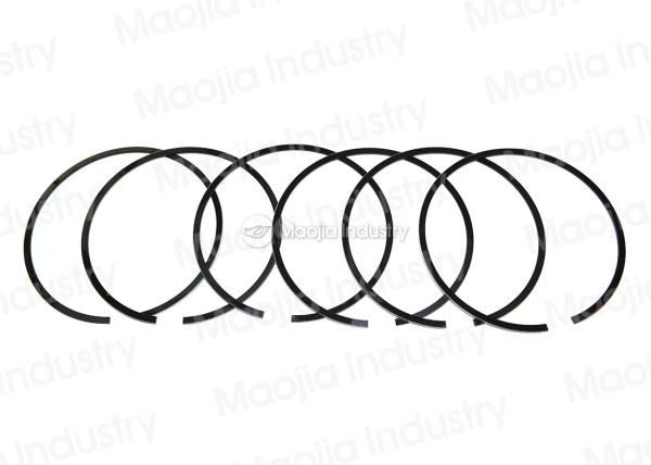 Montero Sport  3000GT Diesel Engine Piston Rings , Hastings Pistons Rings