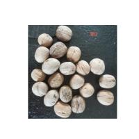 China Factory Wholesale Nuevo producto Noche Lavada 185 Con Precio Más Barato y Alta Calidad