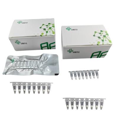 Kit de PCR isotérmico de RNA básica com alta precisão e eficiência