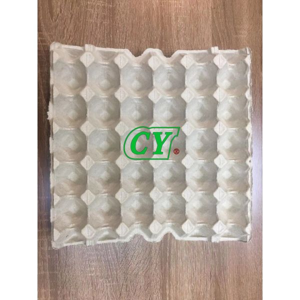 Recycle Pulp Drying Machine Pulp Egg Tray Drying Line Energy Saving