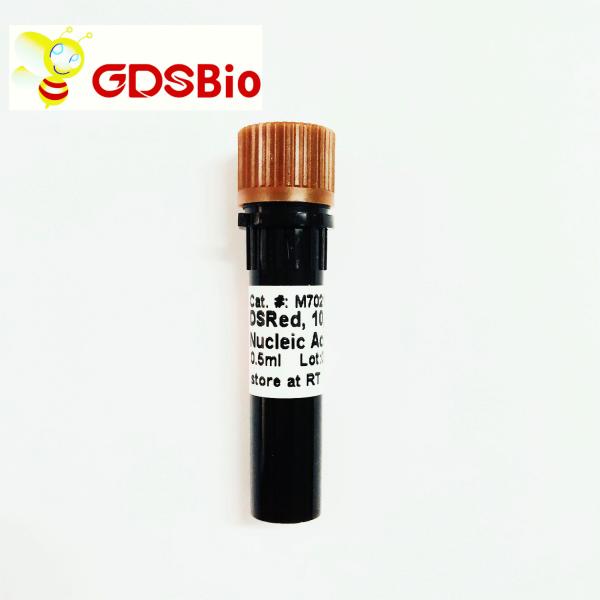 Non Toxic DSRed Nucleic Acid Gel Stain 10000x 0.5ml
