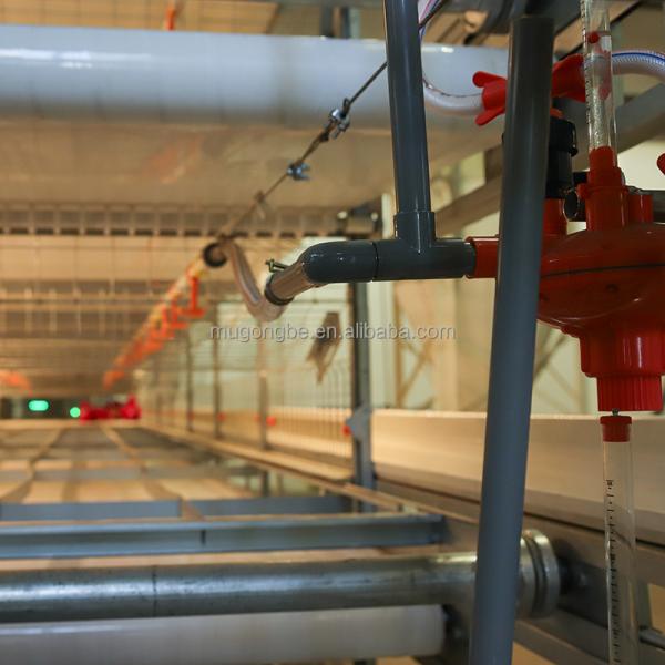 Broiler Farming Equipment Poultry Feeding Line System Chicken Cage With Automatic Feeders and Drinkers
