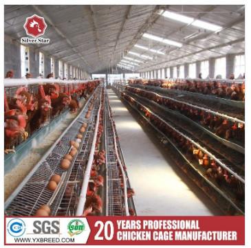 Equipamento quente das aves domésticas da camada da gaiola da galinha da camada da galvanização
