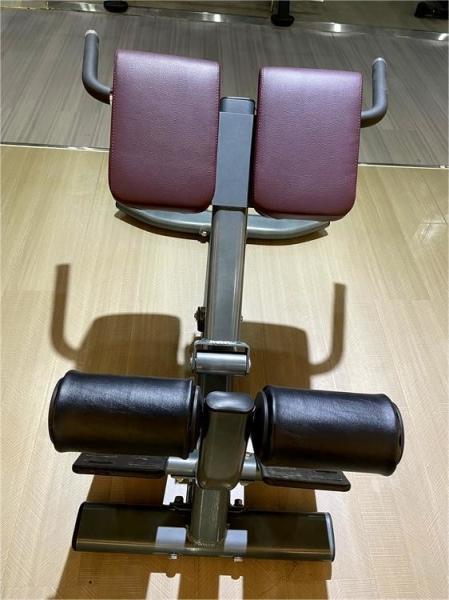 Freeman Commercial Gym Fitness Equipment Back Extension(hyper Extension Bench)/roman Chair