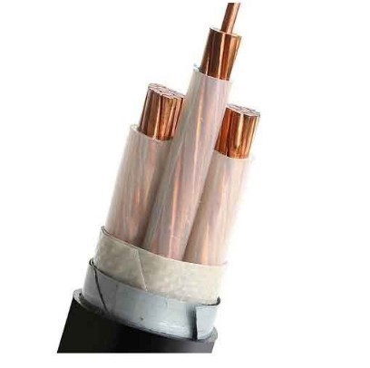 LSZH N2X2Y Electrical Wiring Projects Power Cable 10mm2 Cable Class 2 Low Smoke Halogen Free DJX cable with Steel or Aluminum Armoured protection