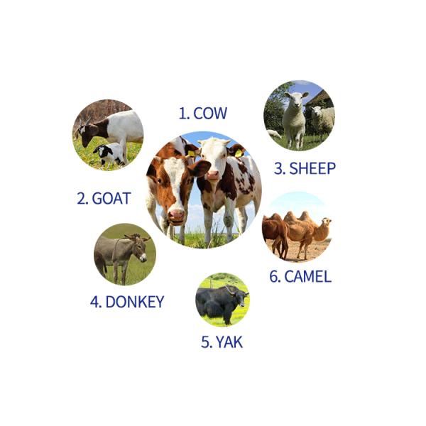 тип поршеня доя машины коровы 380V 550W малошумный