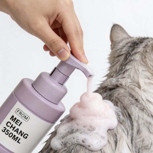 200ml / 350ml Dual-Size Foam Pump Refillable Bottle with Foam Pump Technology and Customizable Branding