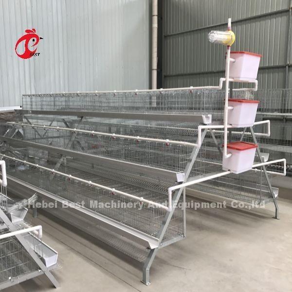 Gaiola galvanizada fria Adela da galinha da colocação de ovo das portas do sistema 40 da gaiola de bateria das aves domésticas
