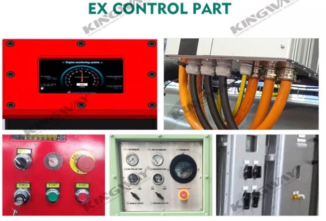 Зона II ATEX набор генератора 60KVA 3 участков дизельный с рамкой DNV 2.7-1 поднимаясь