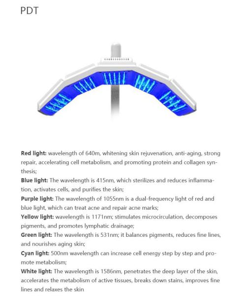 Skin Rejuvenation 6 In 1 PDT BIO Light Led Facial Light Therapy Machine
