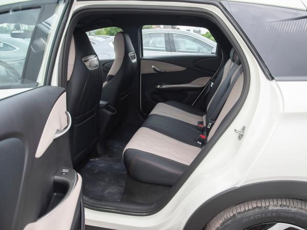 BYD Dolphin 2025 Model 420 Kilometer Pure Electric Edition 5 Doors 5 Seats 4 Speakers Popular Car
