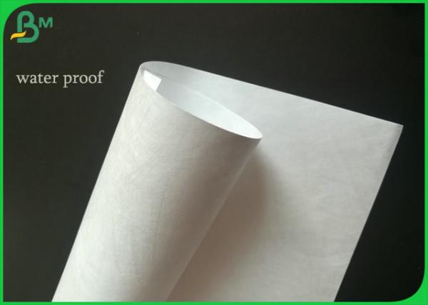 Papel disponível da impressora de Du Pont Tyvek da cor impermeável de 1025D 1056D1057D