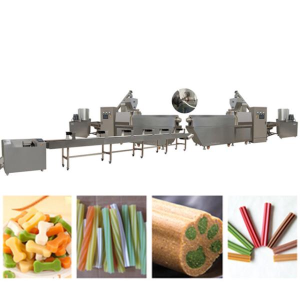 CE Certified Dental Care Pet Treat Dog Snack Chews Extruding Machine Dog Bone Processing Line with Capacity 200-250kg