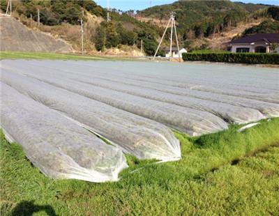 Tela não tecida antienvelhecimento da agricultura/tela Rolls do polipropileno para a tampa agrícola