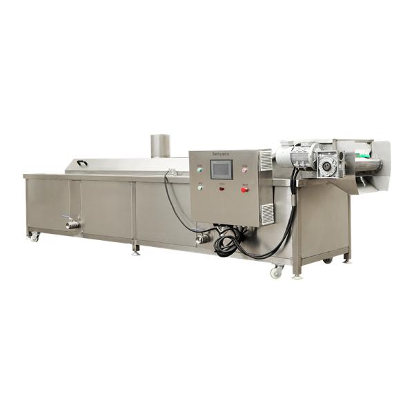 110V 220V 380V Banana Chips Maker Machine Plantain Chips Making Machine