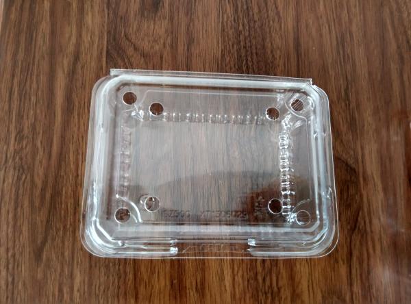 guangdong shenzhen factory Fruit and vegetable packing box/blister products