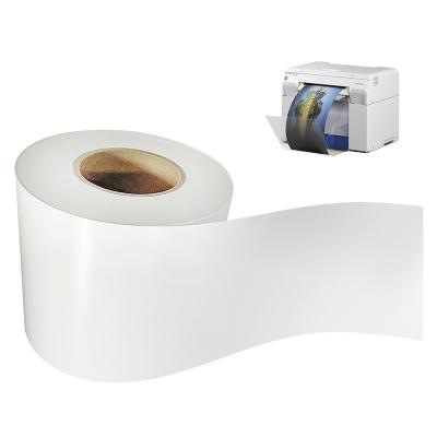 Foto branca morna natural 6 de papel de Minilab do cetim cor imprimindo vívida